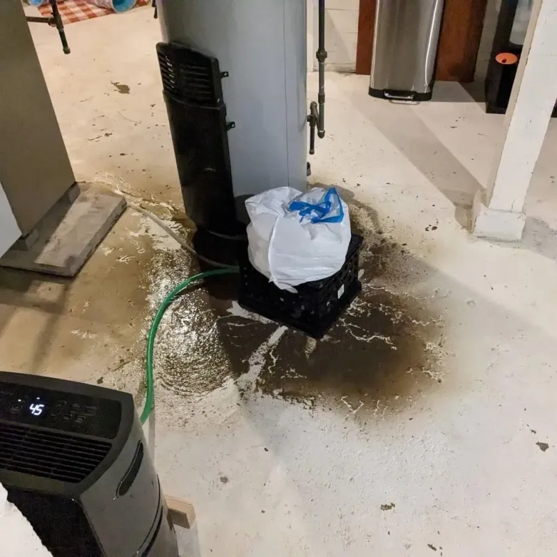 Sewage Backup Cleanup Service in Hazel Crest, IL